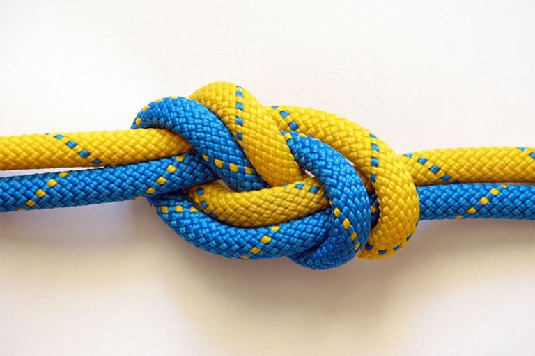 Datenaustausch mit LIMS-Systemen